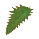 Acid Nettle