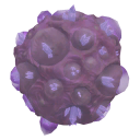 Bubblegum