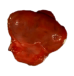 Dead Person's Pituitary Gland