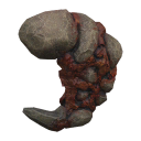 Shrimp