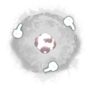 Atom